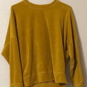 Velour Sweatshirt, Golden Aerie for American Eagle